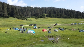 1-2 Haziran 2024 - Düzce Kocayayla Çadırlı - Aile - Çocuk Doğa Kampı
