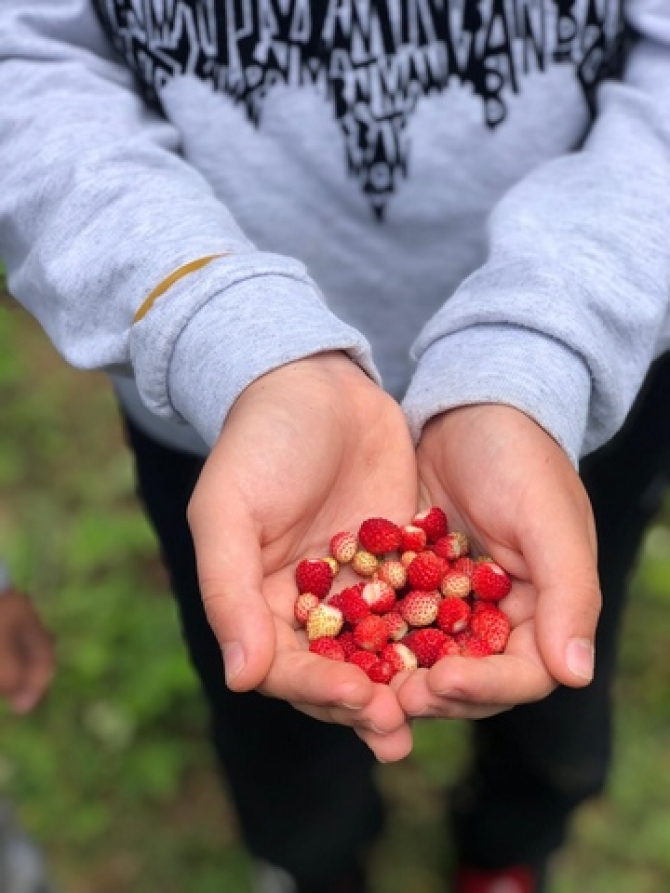 15-16 Haziran 2019 Sakarya - Çardacık Yaylası Çocuk Kampı Güncesi